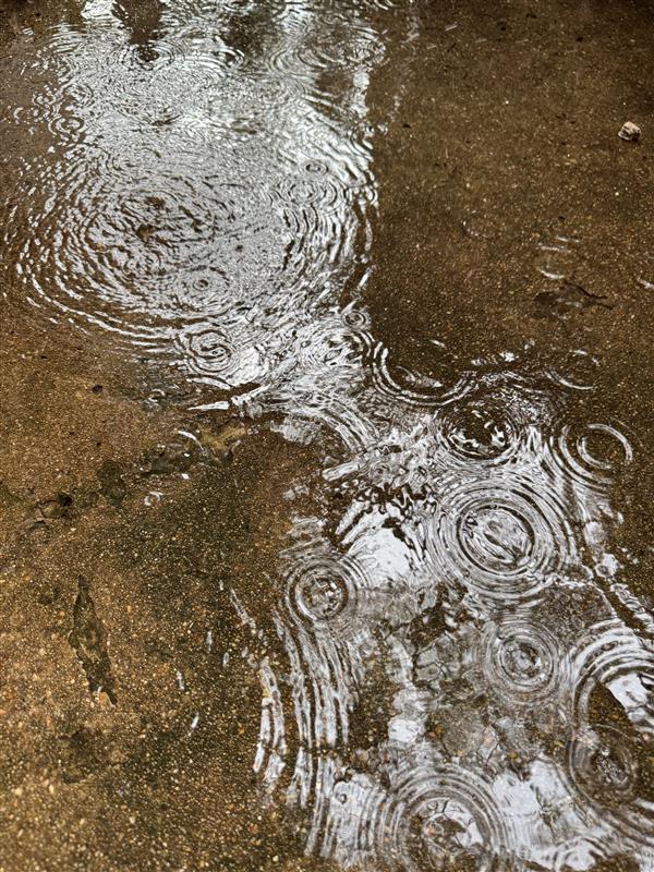 Due to the recent rains and current weather forecasts, the Zilker Park Polo Fields parking lot will remain closed for the 4th of July weekend. 

Get complete parks closure information at: AustinTexas.gov/ParkClosures.