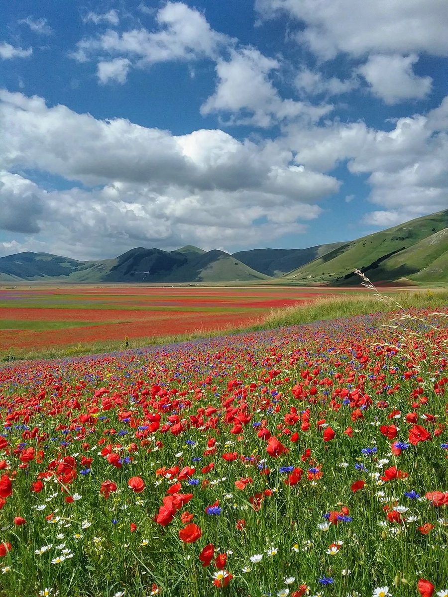 Umbria, Castelluccio di Norcia