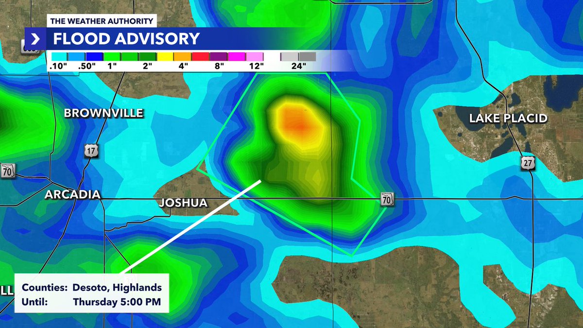 *FLOOD ADVISORY* issued for DeSoto, Highlands County until 7/03 5:00PM. Track storms with Southwest Florida's WINK Live Doppler 3X: winknews.com/weather/