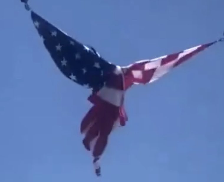 nativepgh's tweet image. 