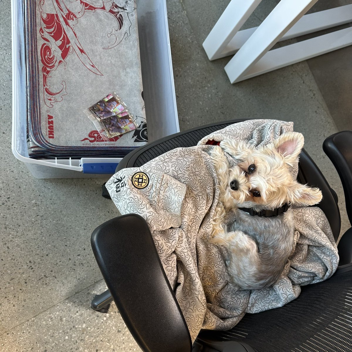 Jonathan Chao tweet media