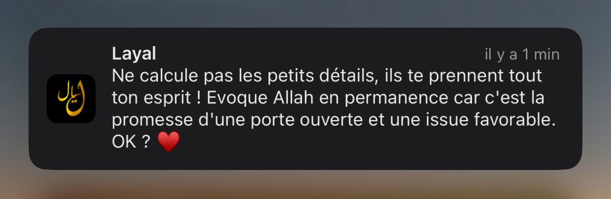 Kam🧸 tweet media