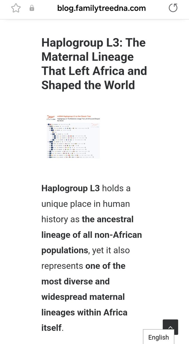 بالإضافة إلى دراسات سابقة، شركة فميلى ترى Family Tree DNA توثق  أن السلالة الأمومية L3 هي المسؤولة عن خروج البشر من افريقيا الى أصقاع الأرض. السلالة نشأت فى القرن الإفريقي. الغالبية العظمى من اقربائى DNA يحملون L3 مما يدل على ان السلالة لها تركيز كبير فى القرن الافريقي.