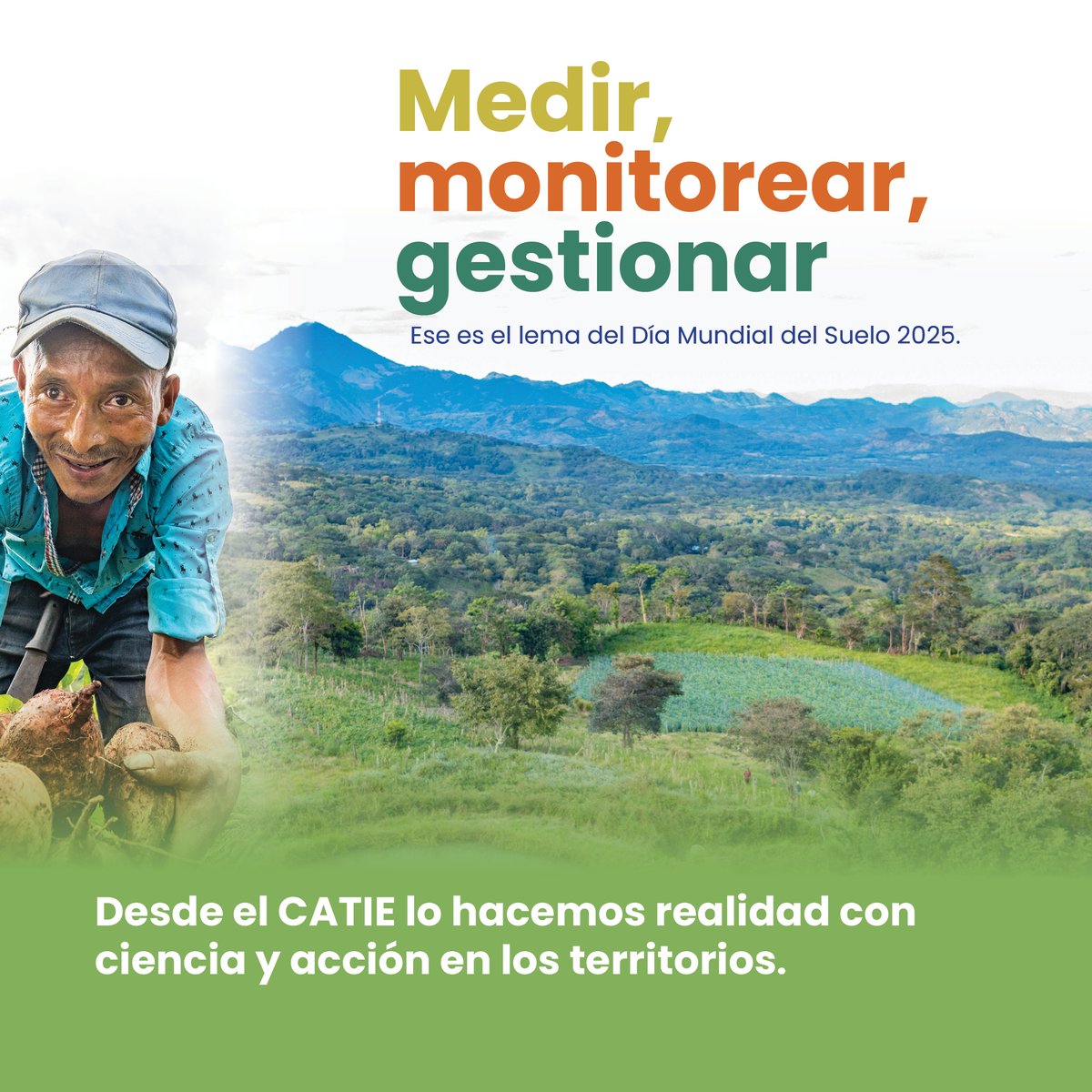 🌱 El suelo es vida. Hoy, 7 de julio, conmemoramos el Día Internacional de la Conservación del Suelo, recordando que sin suelos sanos no hay alimentos, ni agua limpia, ni bosques.

👉 Descubrí más sobre nuestro trabajo en catie.ac.cr

#DíaDeLaConservaciónDelSuelo