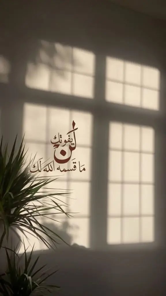 RamyAlshareef's tweet photo. نُرشد التائهين ولا نعرف كيف نخرج من المتاهة https://t.co/m360mOVd5W