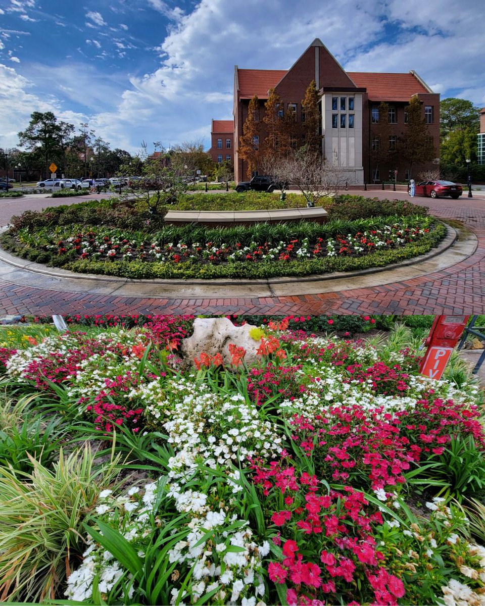 UFFacilities's tweet image. Red, white, and blooming for #FSFlowerFriday 🌺
Happy Fourth of July from Facilities Services! Stay safe, hydrated, and remember— freedom doesn't mean leaving your empty cans on the lawn🚮🤝
Love,
Your fav FS team🧡💙