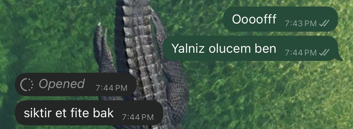 Erkek bestie edinmeyin