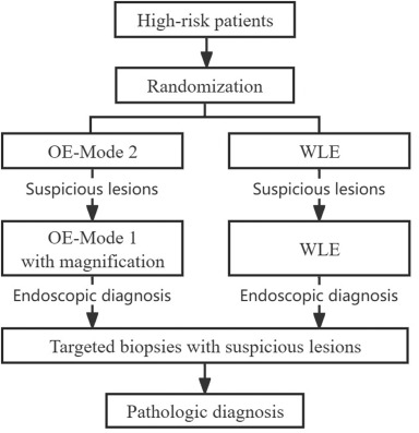 GIE (@gie_journal) on Twitter photo Online now in GIE’s Articles in Press: "Optical enhancement with magnification versus white-light endoscopy for detecting gastric intestinal metaplasia and neoplasia: a randomized controlled trial" by Meng Wan et al. giejournal.org/article/S0016-…
#GITwitter Online now in GIE’s Articles in Press: "Optical enhancement with magnification versus white-light endoscopy for detecting gastric intestinal metaplasia and neoplasia: a randomized controlled trial" by Meng Wan et al. giejournal.org/article/S0016-…
#GITwitter