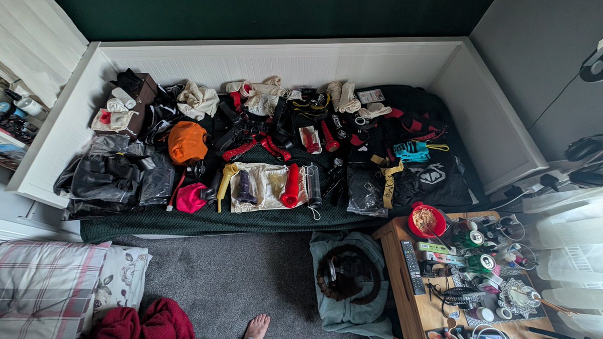 Been going through my gear ahead of London Pride and... I'm not even half way through yet... 😮‍💨 

Perhaps I should start cataloguing my collection of dildos and plugs ?

#Kink #Fetish #puppyplay #Gear