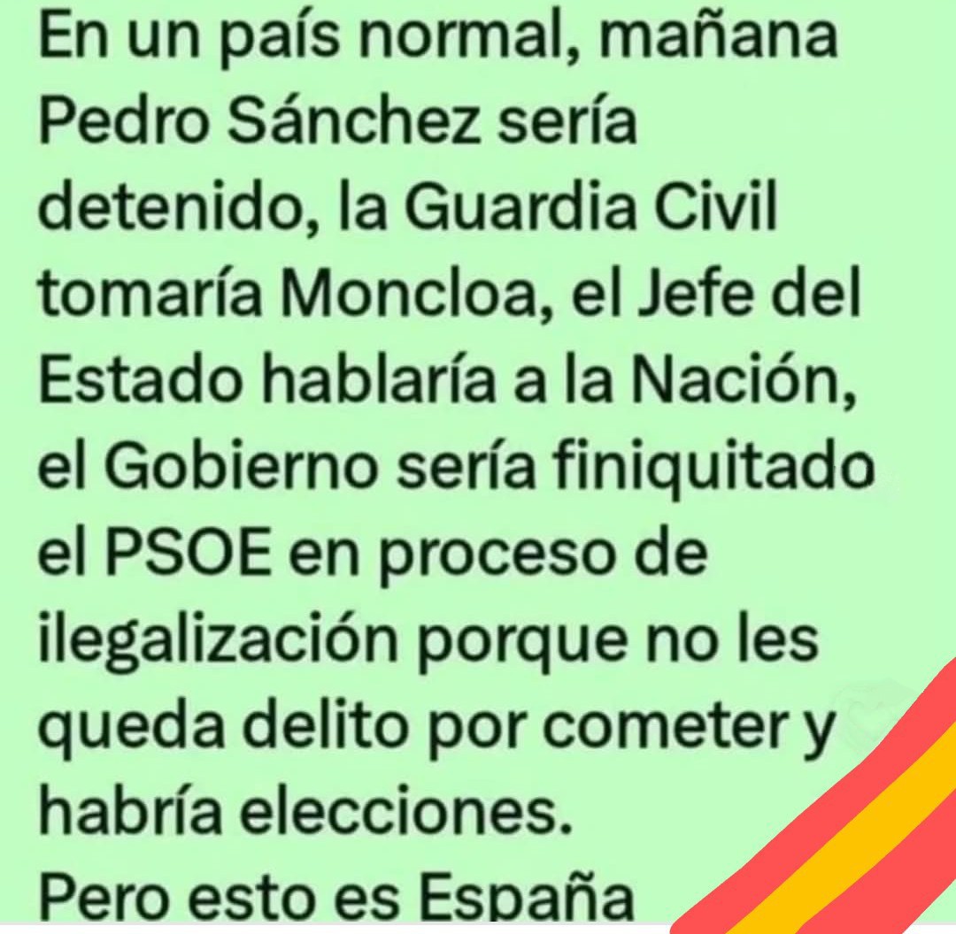 María Estévez 💚🇪🇦 tweet media