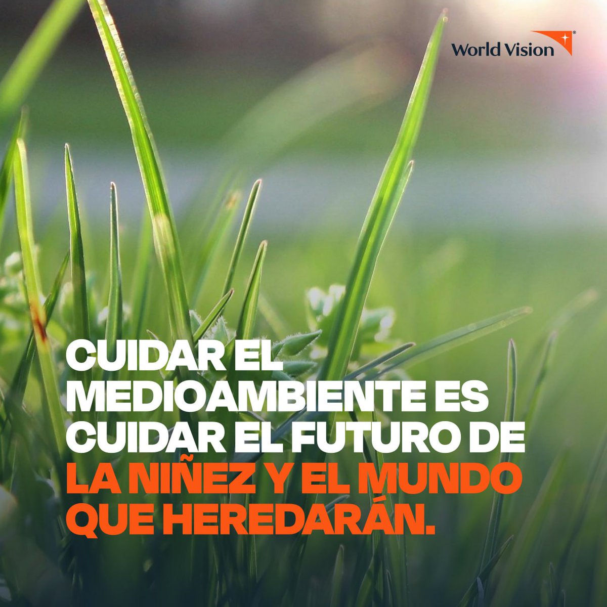 Lo que hacemos por el planeta, también lo hacemos por la niñez.🌎

Sembrar un árbol, reciclar, cuidar el agua… son actos pequeños que protegen su gran futuro. 🧡

Porque ellos merecen crecer en un mundo sano y lleno de vida.
#FuturoParaLaInfancia  #WorldVision #ImpactoSostenible