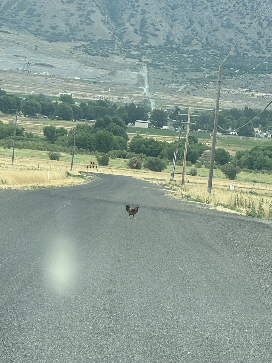 _Cartrr's tweet image. Do I

Do I ask him?