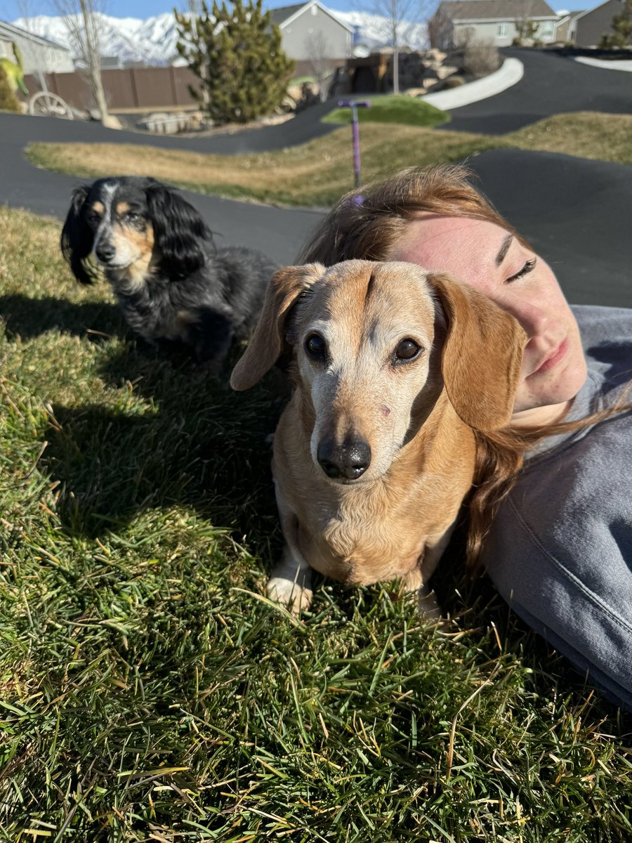 Shonduras's tweet image. love these pups.. been takin em to pirate island a bunch this summer and they go from the old dogs back to playful pups runnin around exploring, sniffin, and peein on all their territory