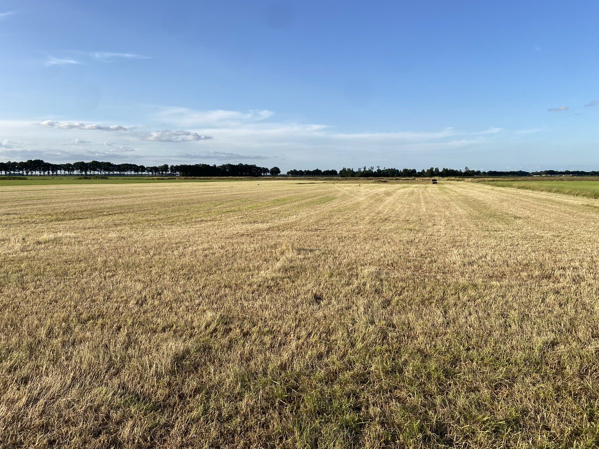 boerinhendrika's tweet image. Het gemaaide gras ging onderin de kuil v #3e_grasoogst In dit deel ligt ook de #plasdras De waterpomp is 16 juni uitgezet en meegenomen voor onderhoud. /2

#weidevogels #weidevogelbeheer
#boerennatuur💚
#gangbare_landbouw