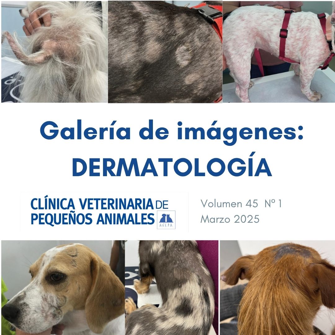 #Galeríadeimágenes en la #RevistaAVEPA centrada en #dermatologíaveterinaria: 6 patrones clínicos de alteraciones foliculares en perros.
Alopecia X, linfoma cutáneo, displasias pigmentarias y más, con claves para el diagnóstico diferencial.
clinvetpeqanim.com/index.php?pag=…
#veterinaria