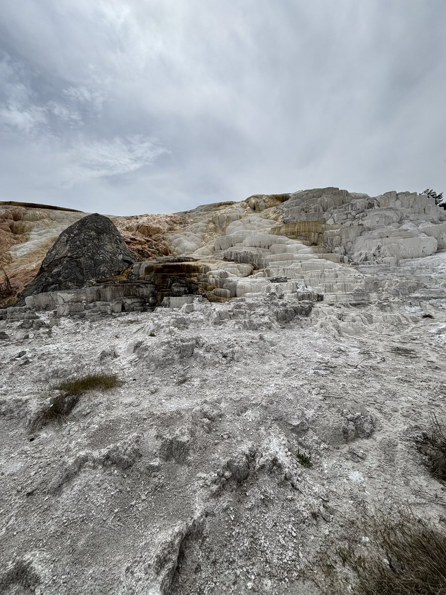 thispptisonfire's tweet image. For all my geo friends out there