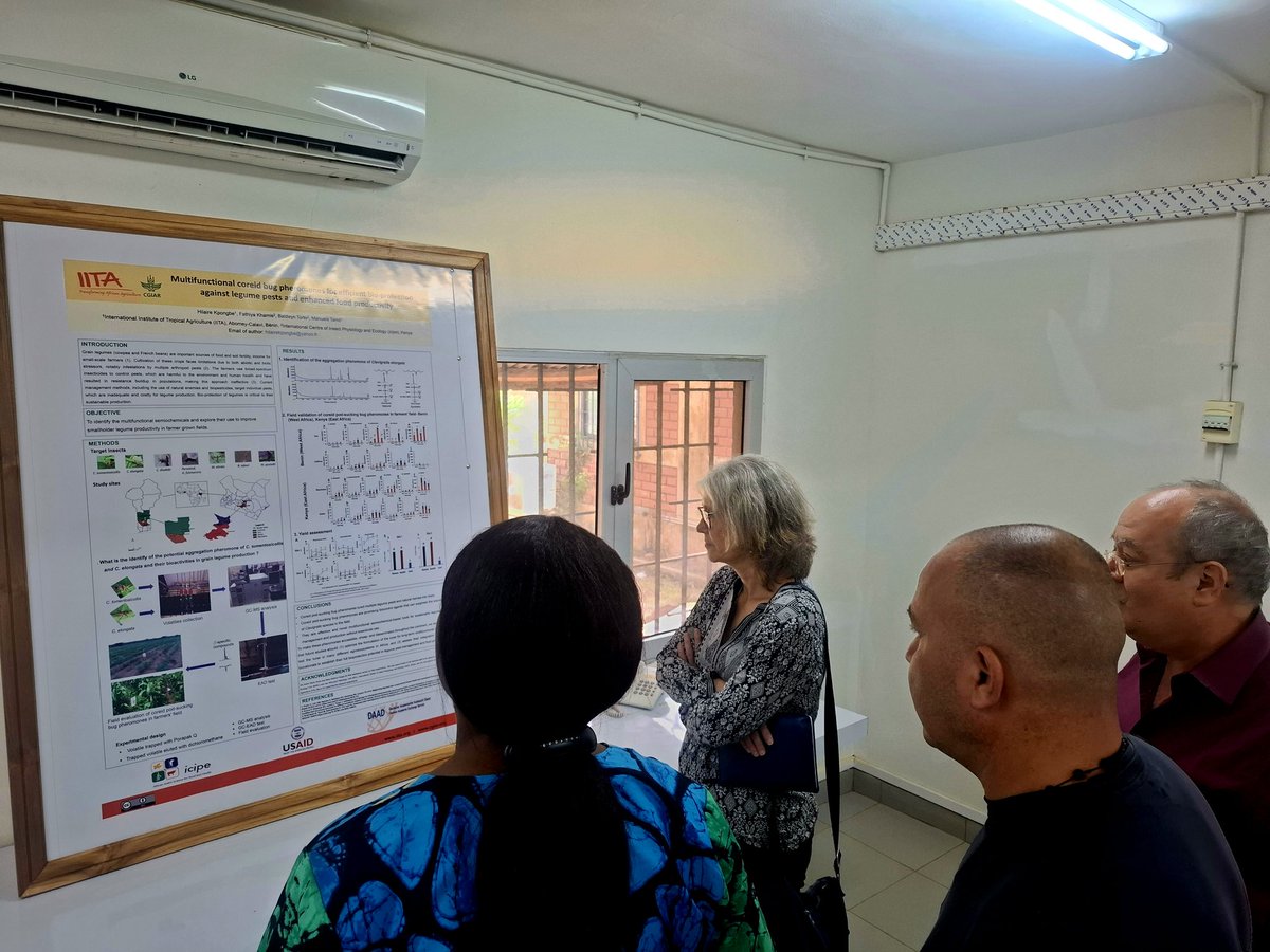 IITA Benin (@benin_iita) on Twitter photo 🤩We've been honored by DDG Hilde Koper-Limbourg, Ms. Eveline Odiambo & Mr Farouk Head FMS on their visit from <a href="/IITA_CGIAR/">IITA</a> Ibadan to <a href="/benin_iita/">IITA Benin</a> from 2-3 July 2025 following DG <a href="/simeonehui/">Simeon Ehui</a> visit to Benin🇧🇯
👇
facebook.com/share/p/1CBGNM… 🤩We've been honored by DDG Hilde Koper-Limbourg, Ms. Eveline Odiambo & Mr Farouk Head FMS on their visit from <a href="/IITA_CGIAR/">IITA</a> Ibadan to <a href="/benin_iita/">IITA Benin</a> from 2-3 July 2025 following DG <a href="/simeonehui/">Simeon Ehui</a> visit to Benin🇧🇯
👇
facebook.com/share/p/1CBGNM…