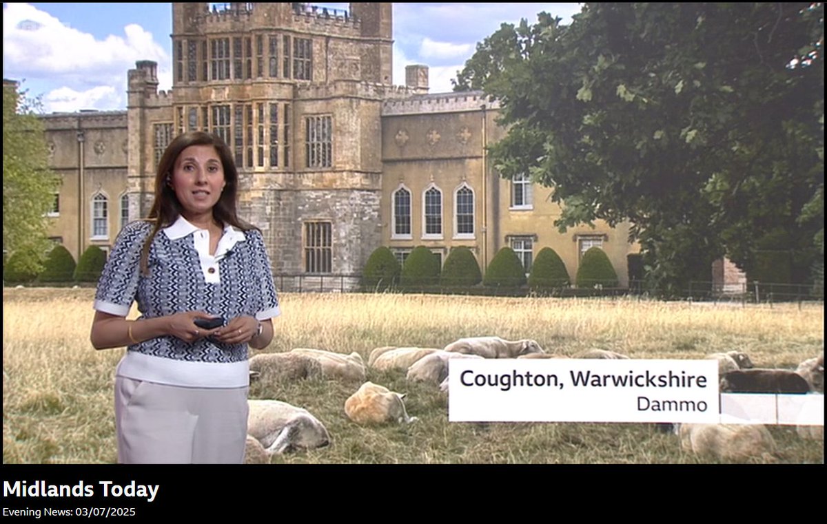 Elliott Brown tweet media