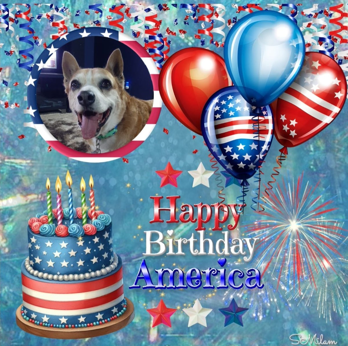 EltonSherrif's tweet image. Everypawdy, I got a bath - so I terribly clean to celebrate our Independence Day. Can't wait to get out rolling in the garden to recover some of I. Anyway, 2morrow we will visit daddy's friend uncle Jim @ his big ranch with many deer & trees & more for a big pawty🇺🇸🖐🐾🎂🐕💞🙏👍