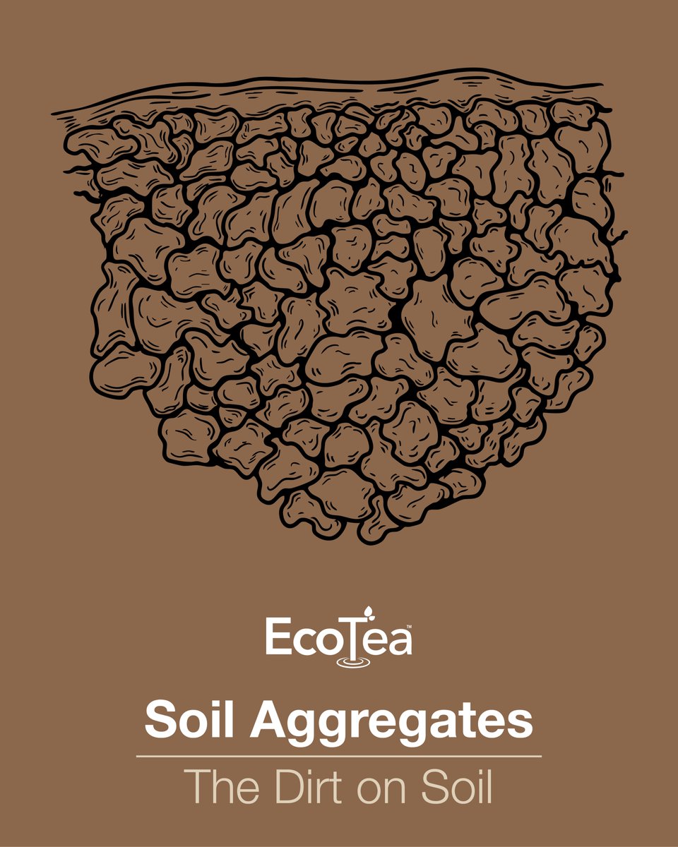 Over time as soil biology exude carbon-based glues into the soil, the presence and quality of soil aggregation can increase. This change in soil structure can increase water infiltration, water and air holding capacity and reduce compaction.  EcoTea™ products have been shown in