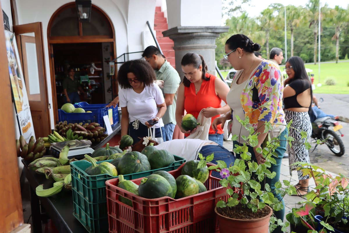 🥬🌿 ¡La Feria Orgánica del CATIE está de vuelta!
Este jueves retomamos este espacio que conecta salud, sostenibilidad y apoyo a la producción local.
Cada jueves a las 10:00 a.m. te esperamos en el Edificio Wallace.