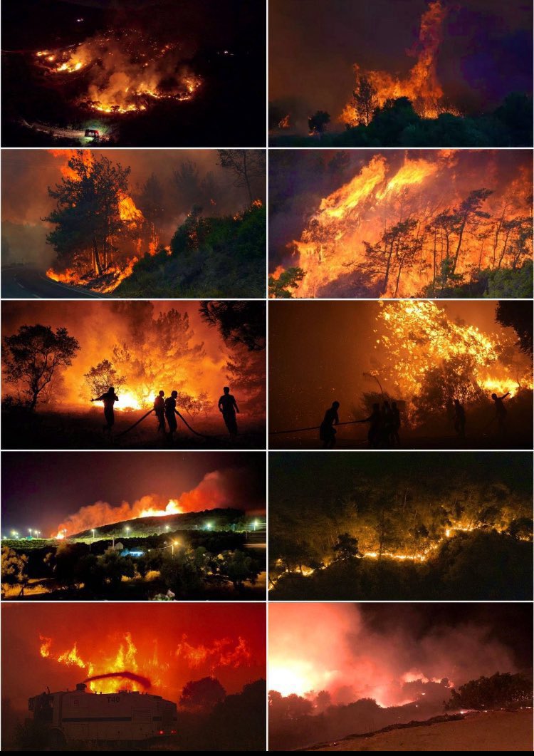 Göğsüm daralıyor, yüreğim kanıyor...

#izmiryanıyor 
#ormanyangını 
#yangınvar 
#cesmeyanıyor