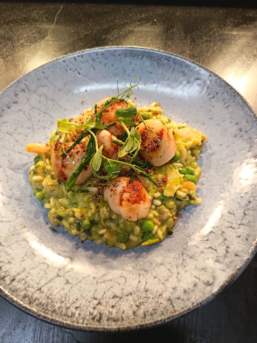 Gridded Scottish scallops on an artichoke, pea and tiger prawn risotto with coral crumb #aldeburgh #suffolk