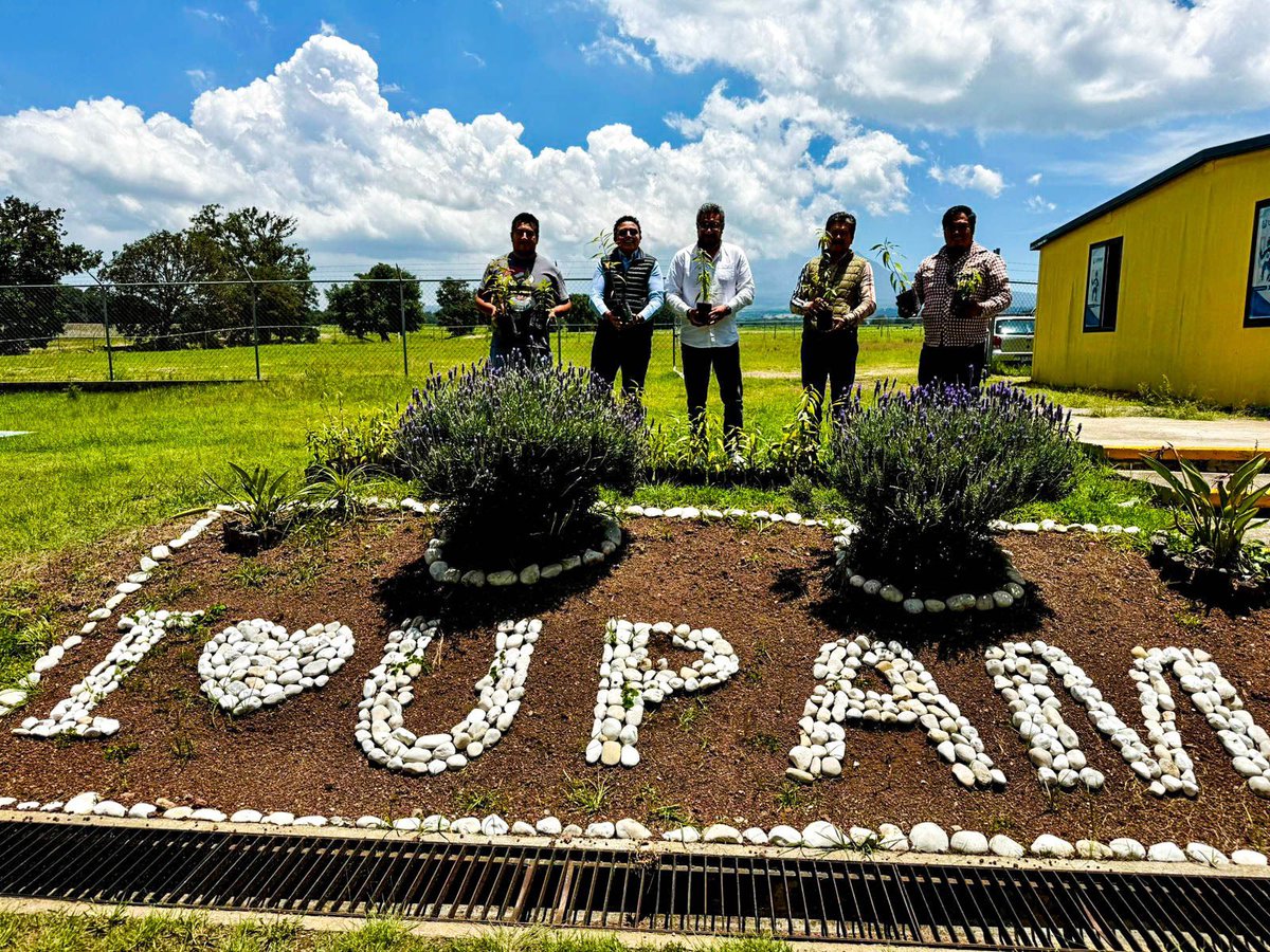 ¡En la UPAM vamos a convertir nuestra región en color verde! 

hoy obsequiamos 130 arbolitos para nuestro amigo Edgar Guzmán  de Chachapa y a los grupos ambientales de Cuautinchán. #TuSueñoNuestraMisión #PensarenGrande #PorAmorAPuebla