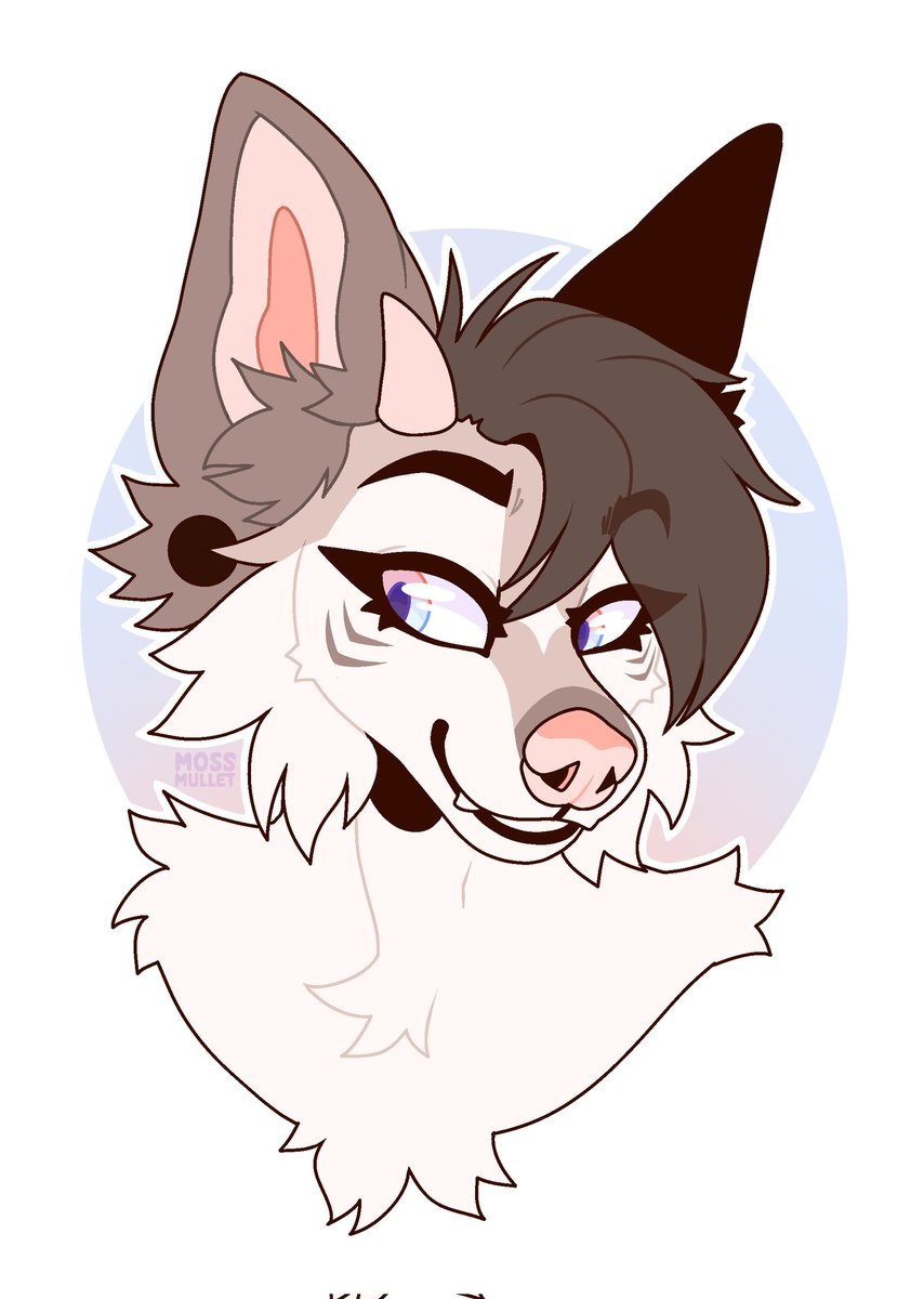 ˗ˏˋ ℑ𝔳𝔞𝔫 ˎˊ˗ tweet media