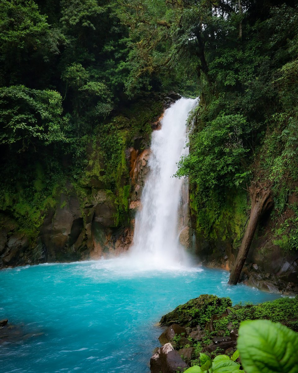 Photo by Silvia A. | "It was a dream of mine to hike in Rio Celeste. The color of the water is the result of a combination of two rivers that bring minerals from the nearby volcano." #ShotOnCanon🩵🍃

📸 #Canon EOS RP
Lens: RF24-105mm F4-7.1 IS STM