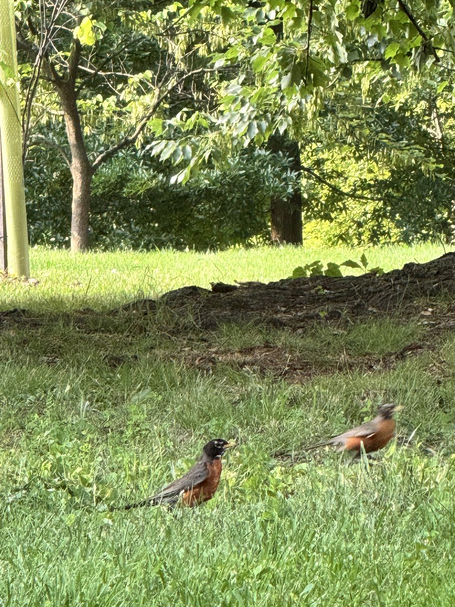 Söz sahibinden ayri yürüyorsa ikisini de birak.