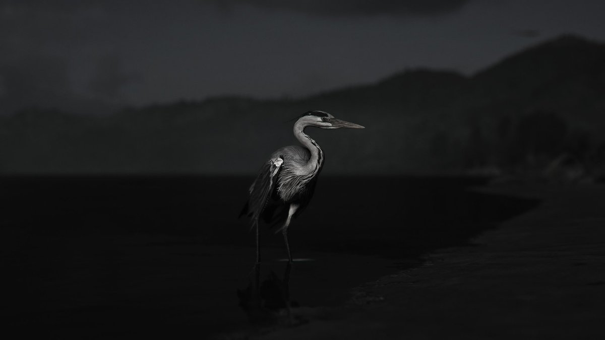 saskiaemmischVP's tweet image. Assassins Creed Shadows
#UbisoftPhotomodeContest