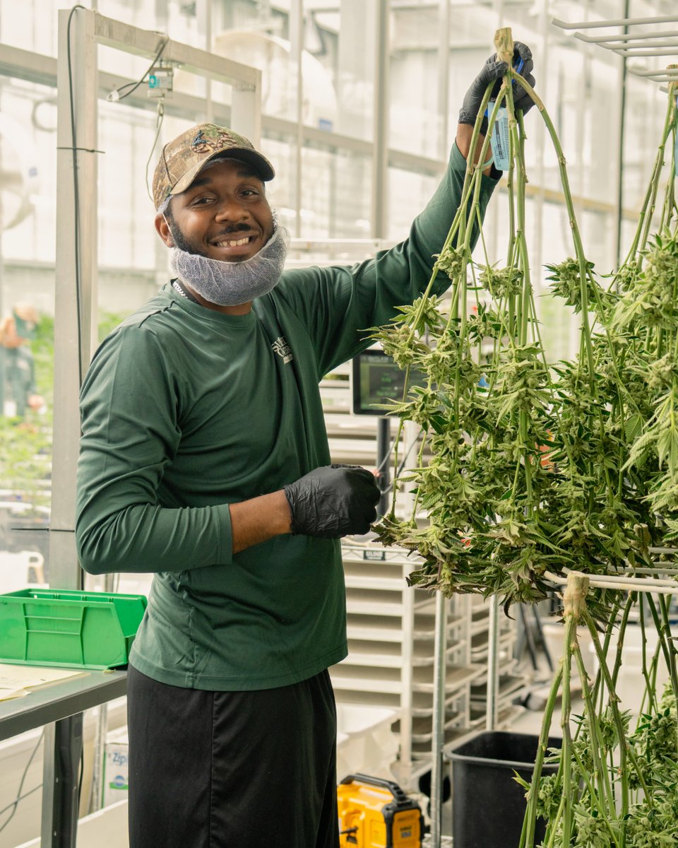 SunMed.Growers tweet media