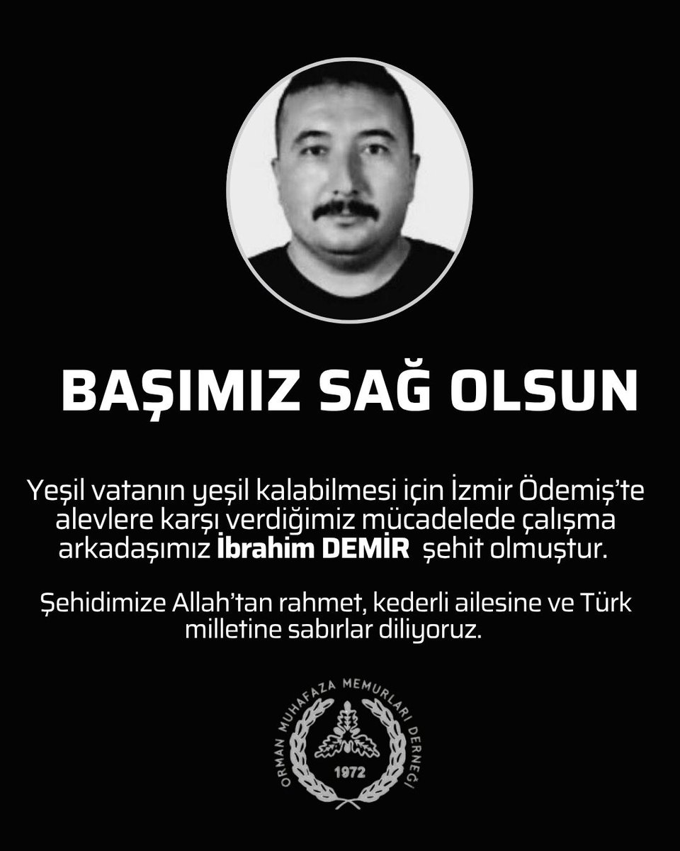 #OrmanınKahramanları 
#YeşilVatan