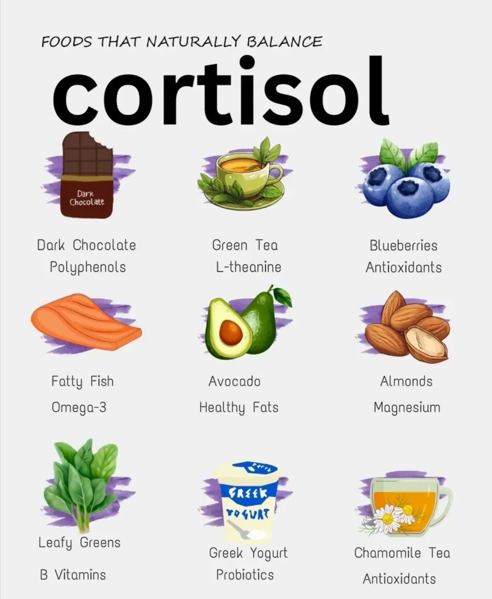 Feeling stressed? Incorporate some of these cortisol-balancing foods into your diet!
