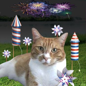 <a href="/TiggyBean/">TiggyBean</a> <a href="/SquirtTheCat/">Squirt McSquirtFace</a> <a href="/LilyLuWhoT/">Lily💔Squirt Walter Winston Big Oranje Jodie</a> <a href="/3phibotticelli/">Sassy& Angels Sadie & Phi</a> <a href="/timhoyt14/">Bicycle Bingo</a> <a href="/RealFakeGator/">Gator The Catahoula</a> <a href="/CinniMini2/">Angels Cinni, Oreo, and Hydrox</a> Hi pals. HAPPY 4TH OF JULY. #nipclub