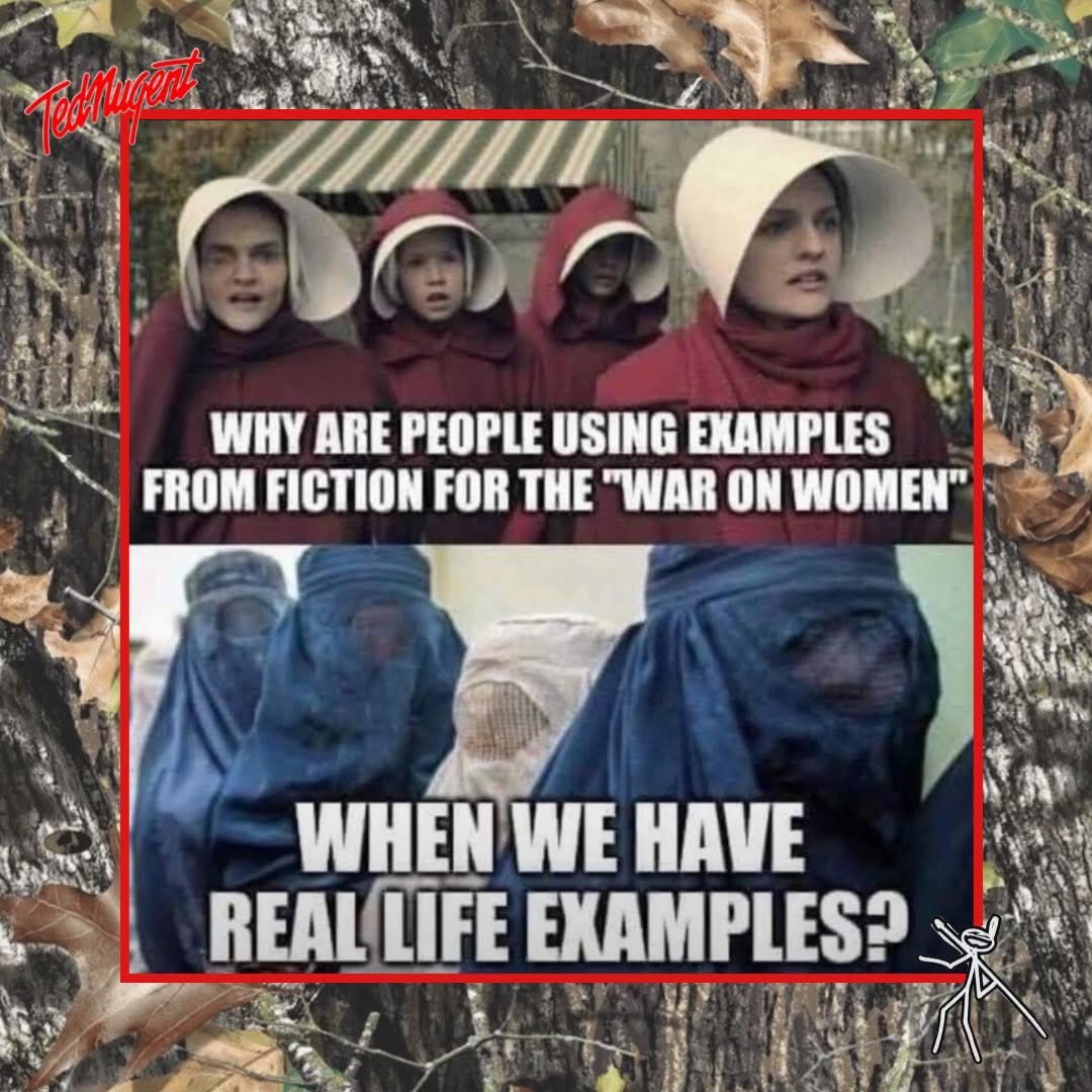 Michael Wiles (@michaelwiles3) on Twitter photo 