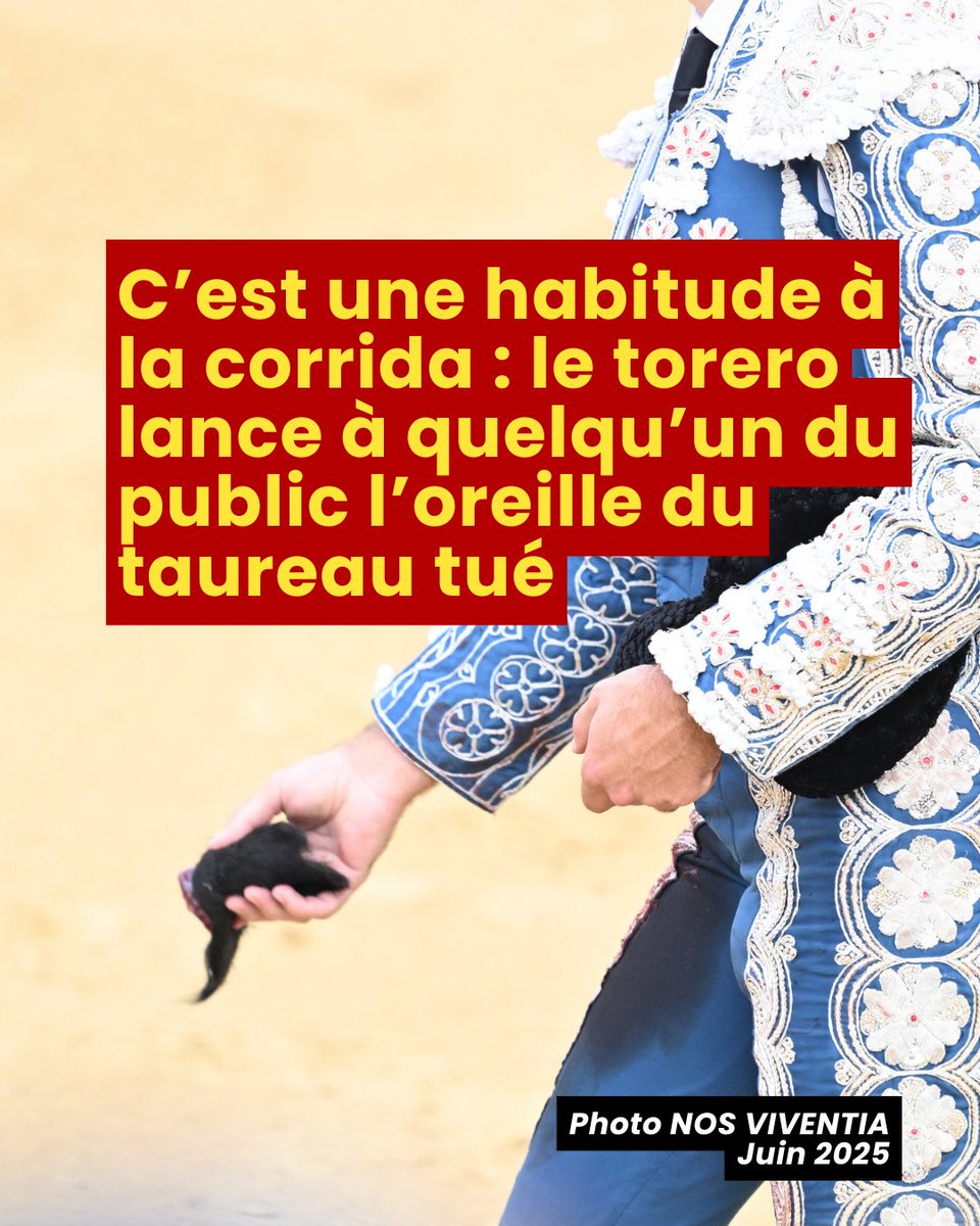 Un joli cadeau 

📷 Saint-Sever (Landes), juin 2025