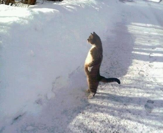 Hannah⁷ 🦋 tweet media