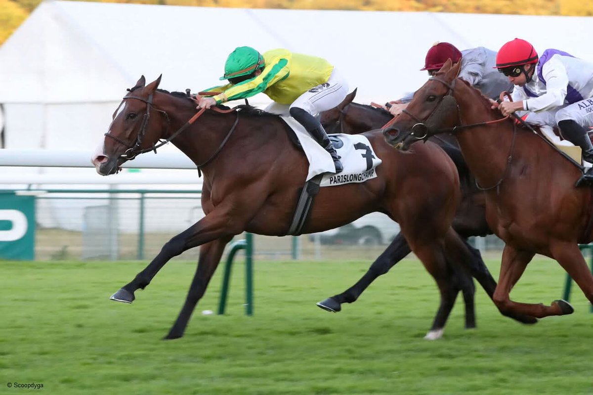 OSARUS (@osarussales) on Twitter photo 🥇 𝐅𝐄𝐑𝐑𝐀𝐑𝐈 𝐅𝐄𝐕𝐄𝐑 #latesteyearling
La Teste yearling sale graduate FERRARI FEVER wins the Prix du Jardin des Plantes (class 1) at <a href="/paris_longchamp/">ParisLongchamp</a> for <a href="/JulienPhelippon/">Julien Phelippon</a> <a href="/pasquito60/">Pasquier Stéphane</a>
✔ Purchased for 19k by <a href="/BanshaHouse/">Bansha House Stables</a> from @haras_des_faunes in 2022
🥇7 wins
💰 302k€ 🥇 𝐅𝐄𝐑𝐑𝐀𝐑𝐈 𝐅𝐄𝐕𝐄𝐑 #latesteyearling
La Teste yearling sale graduate FERRARI FEVER wins the Prix du Jardin des Plantes (class 1) at <a href="/paris_longchamp/">ParisLongchamp</a> for <a href="/JulienPhelippon/">Julien Phelippon</a> <a href="/pasquito60/">Pasquier Stéphane</a>
✔ Purchased for 19k by <a href="/BanshaHouse/">Bansha House Stables</a> from @haras_des_faunes in 2022
🥇7 wins
💰 302k€