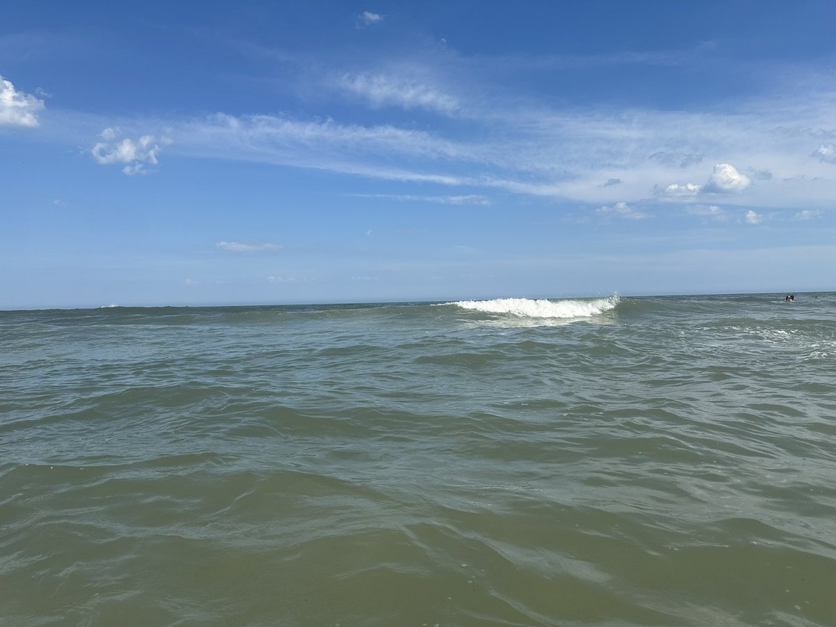 apmartino's tweet image. Searching for Odysseus.