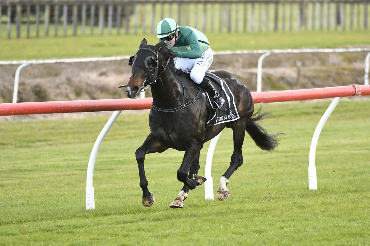 NZ Racing News (@nzracingnews) on Twitter photo NEWS: Pacifico shooting for his fourth win on the bounce in Saturday's UBP Te Awamutu Cup (1600m) at <a href="/TeRapaRacing/">Waikato Thoroughbred Racing</a>. <a href="/ForsmanAndrew/">Andrew Forsman</a>
racingnews.co.nz/chance-for-pac… NEWS: Pacifico shooting for his fourth win on the bounce in Saturday's UBP Te Awamutu Cup (1600m) at <a href="/TeRapaRacing/">Waikato Thoroughbred Racing</a>. <a href="/ForsmanAndrew/">Andrew Forsman</a>
racingnews.co.nz/chance-for-pac…