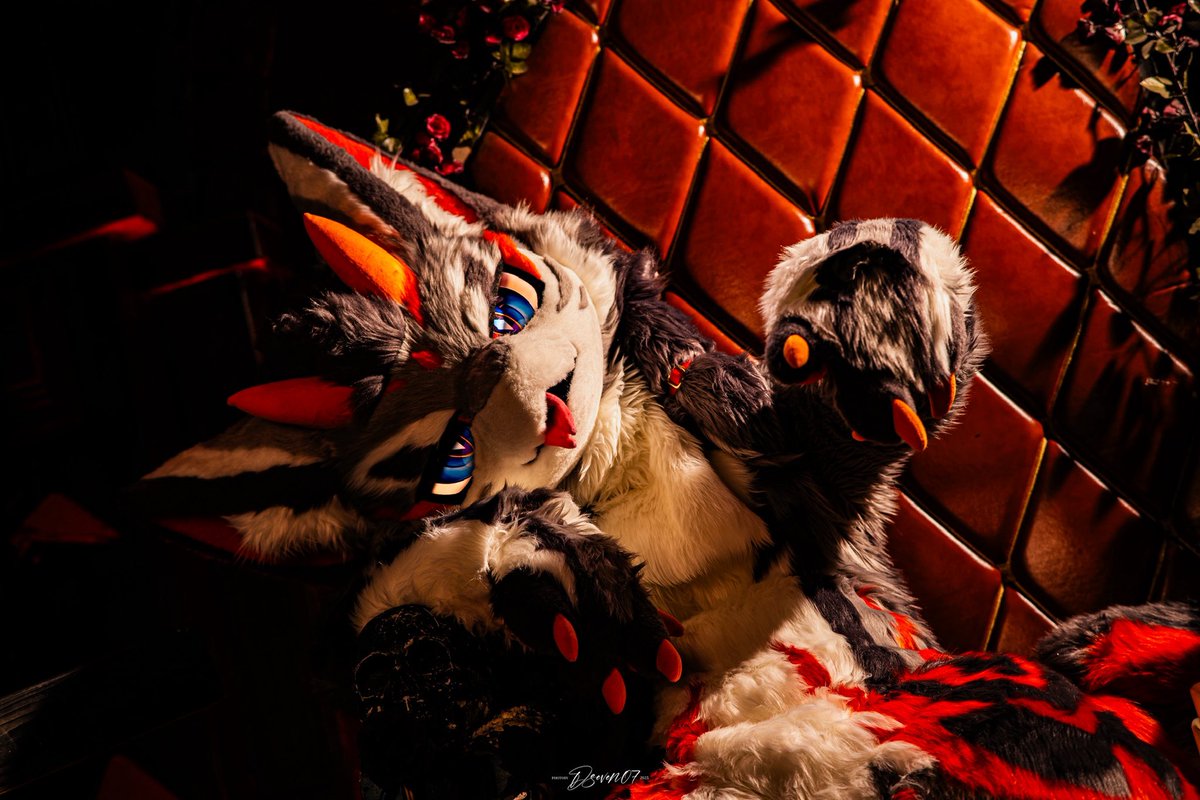 #FursuitFriday #FursuitEveryday
 
我向星辰下令，我停泊矚望，
我讓自己登基，
做風的君王。

🐉:<a href="/LeokkSwift2333/">列克</a> 
🪡🧵: <a href="/ErqingZ/">二青瓜</a> 
📸: Myself