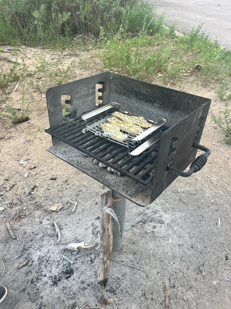 Walleye fishing in the morning, grilling in the afternoon.