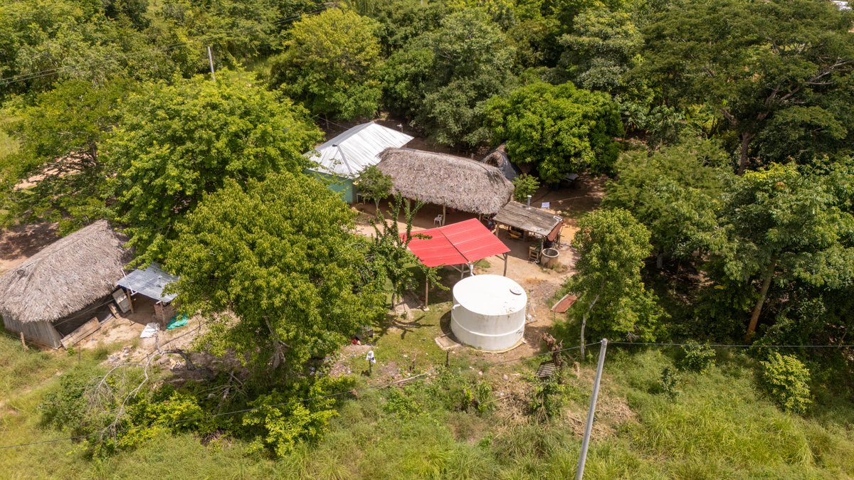 PnudColombia's tweet image. Los Sistemas de Cosecha de Agua Lluvia garantizan:

✅Acceso a agua en hogares sin conexión a microacueductos.
🐟Evita que las mujeres se desplacen por largas horas  para buscar agua en los Zapales.
🌳+oportunidades para mejores prácticas en cultivos y preservación de semillas.🧵