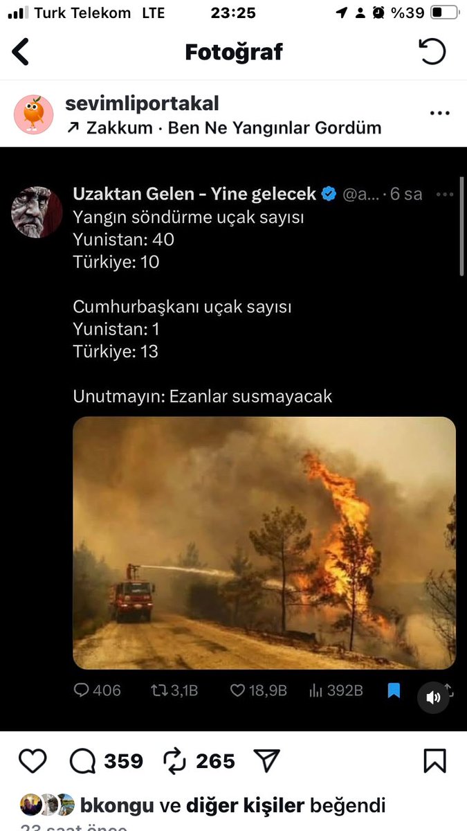 muteferris's tweet image. 