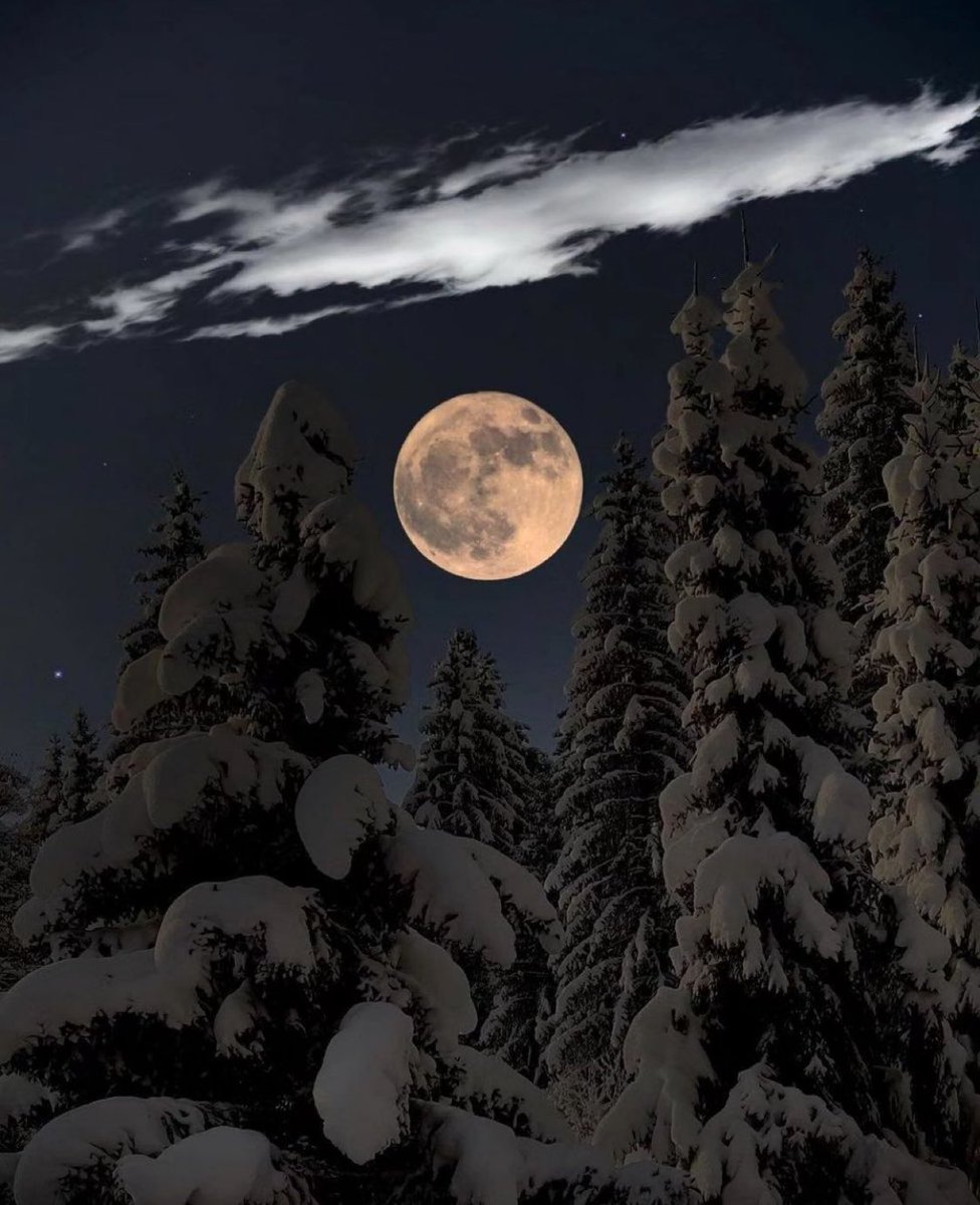 Winter moon