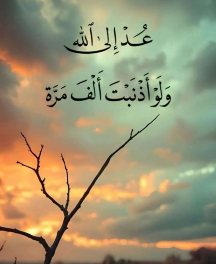 𒆜بَنت الُِاڪابَرٍ𒆜 tweet media