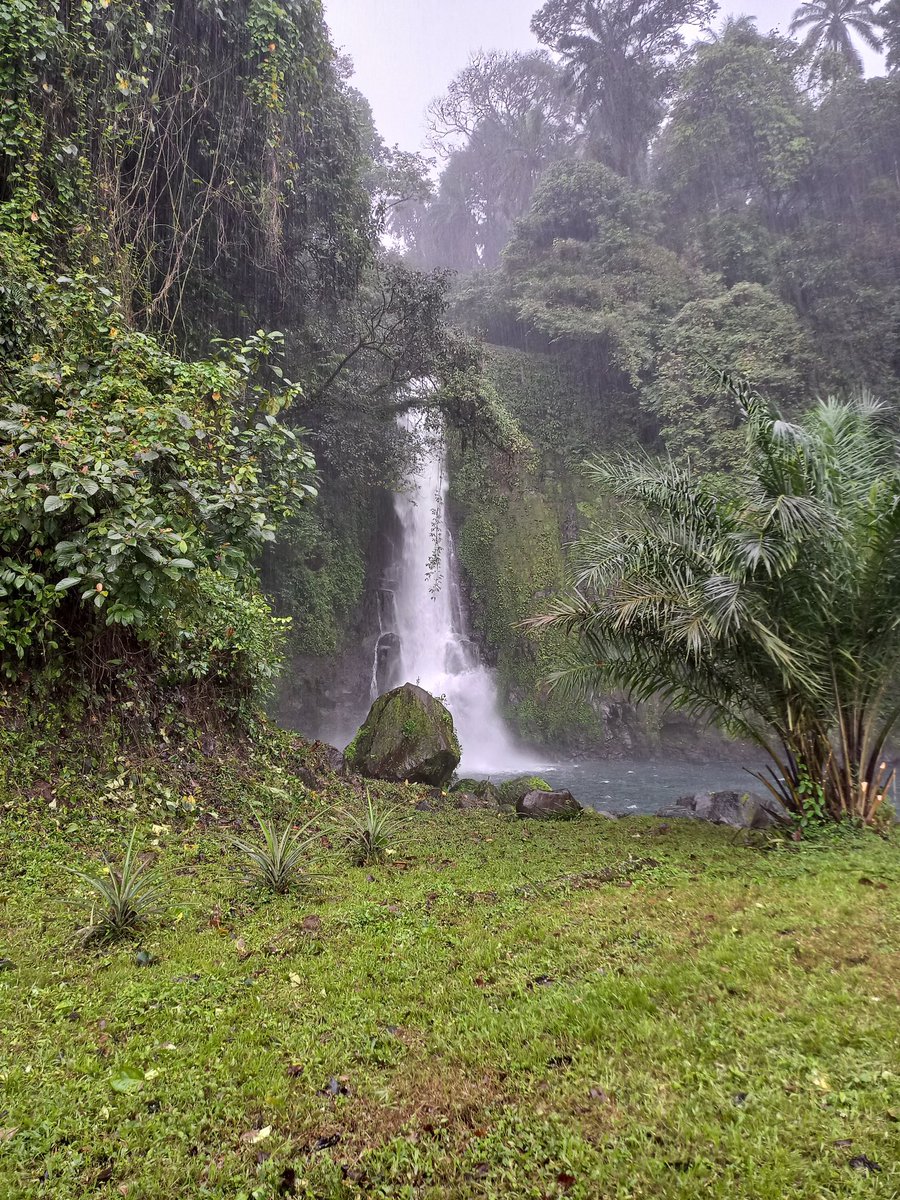 Hoy toca hablar de Ureka, de sus 7 cascadas y de su gente, los bubis. Para llegar, te piden que hagas la prueba del agua. Si la pasas, tendrás su bendición y podrás visitar el lugar, en donde, entre otras maravillas, se pueden encontrar tortugas de 300kg. 

Un lugar mágico.