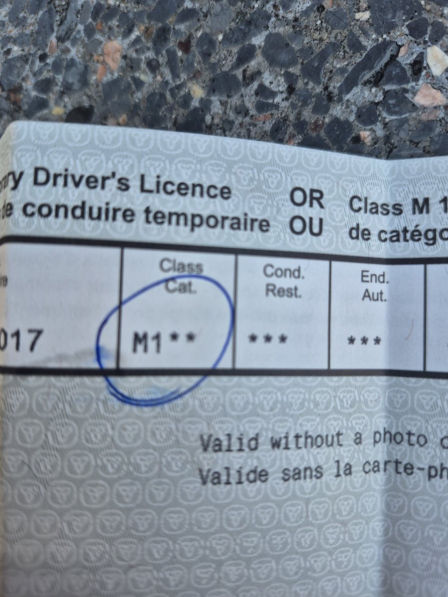 Our oldest got her beginners today. A good time for me to get my motorcycle license since I won't be needed soon anymore to drive the kids around #midlifecrisis 🙃 #tattoonext??
